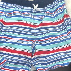 Lands’ End Stripped Multi Color Swim Trunks Size Large For Men